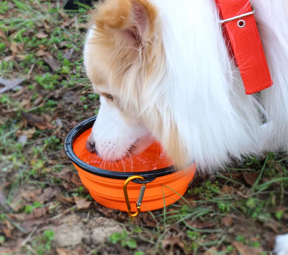 Collapsible Dog Bowl (Portable)