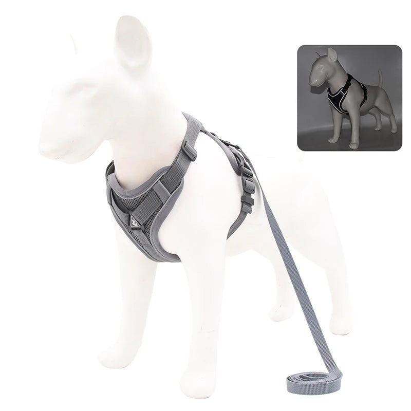 Adjustable Dog Harness & Leash Set