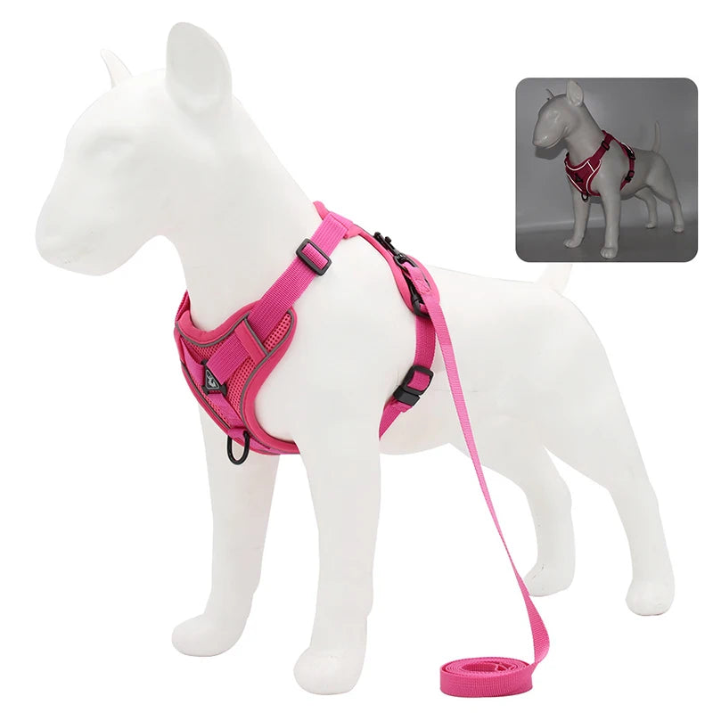 Adjustable Dog Harness & Leash Set