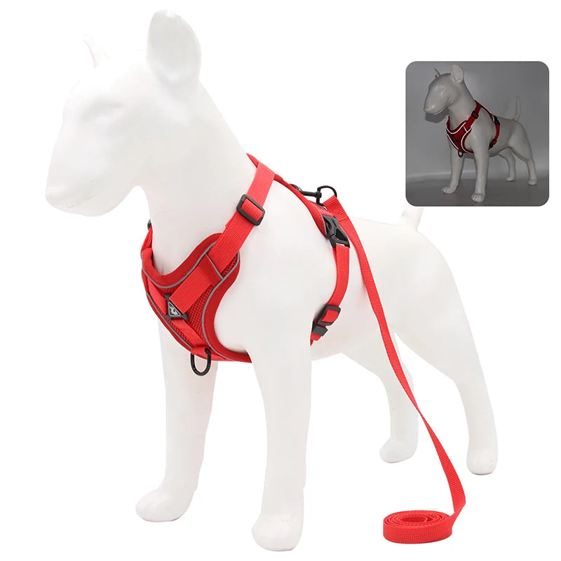 Adjustable Dog Harness & Leash Set