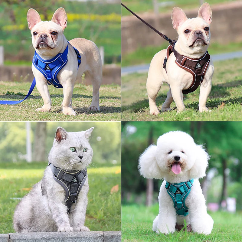 Adjustable Dog Harness & Leash Set