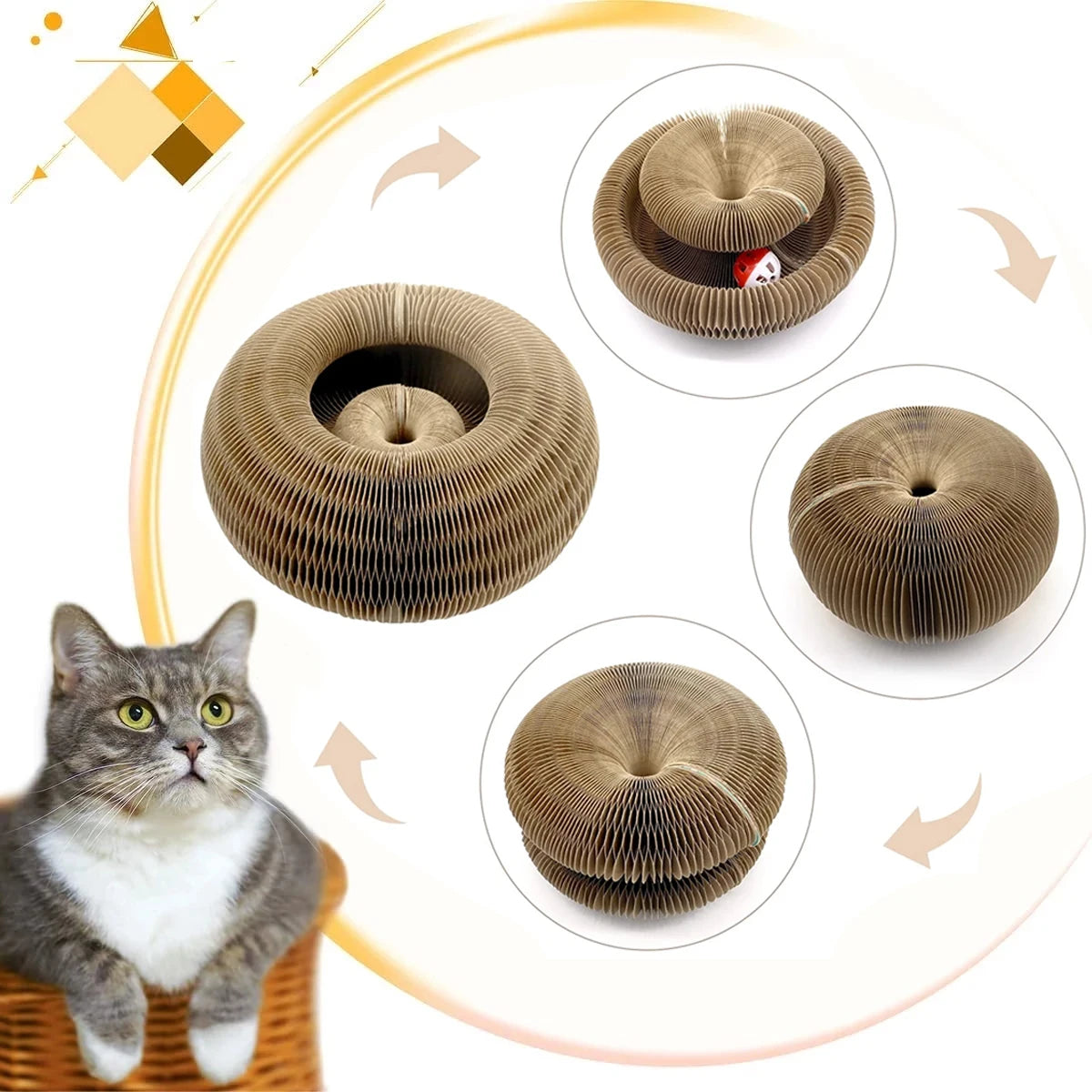 Magic Organ Cat Toy