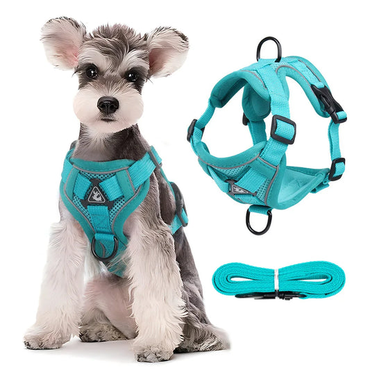 Adjustable Dog Harness & Leash Set