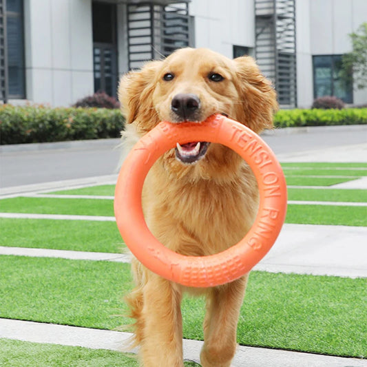 Flying Disk Training Toy