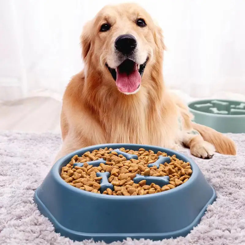 Slow Feeder Dog Bowl (Anti-choking)