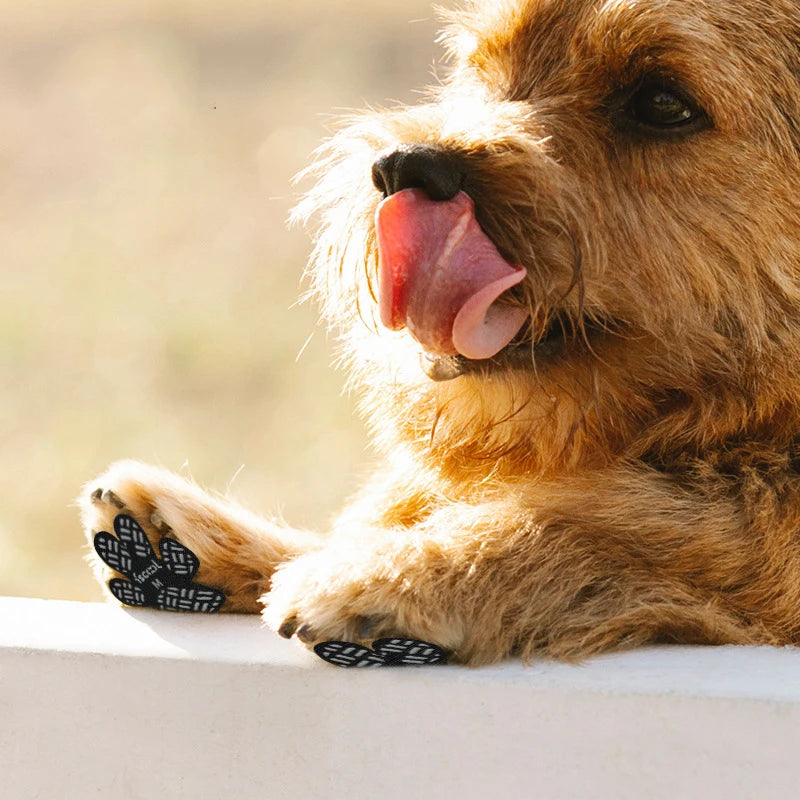 Doggy Anti-Slip Paw Grips